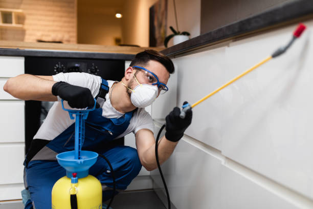 Best Ant Control Services  in Maumelle, AR