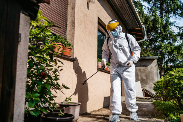 Best Best Pest Control Companies  in Maumelle, AR