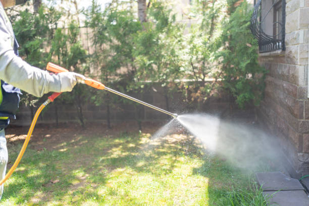 Wasp Removal Services in Maumelle, AR