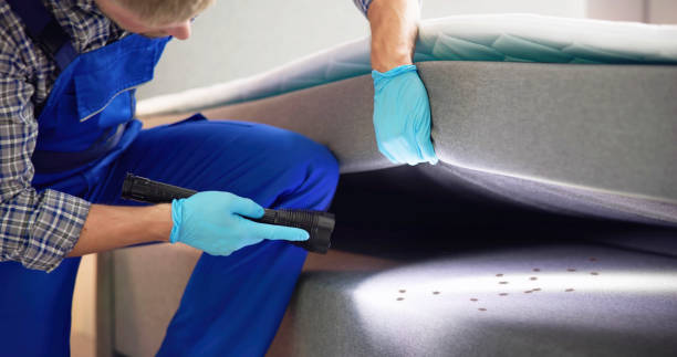Best Wasp Removal Services  in Maumelle, AR
